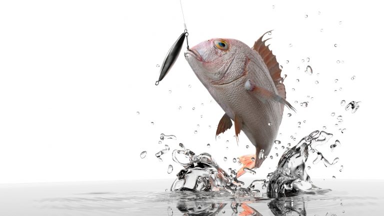 Fishing Tournaments Cabo San Lucas
